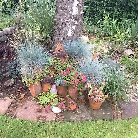 住宿加早餐酒店 - Stakdelen 47 Allerup