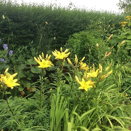 住宿加早餐酒店 - Stakdelen 47 *