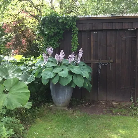 住宿加早餐酒店 - Stakdelen 47