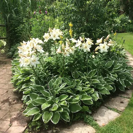 住宿加早餐酒店 - Stakdelen 47 *