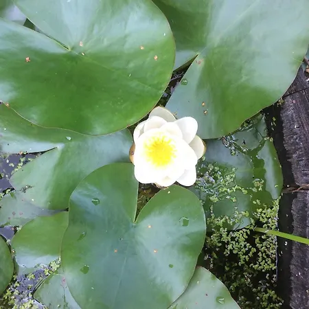 住宿加早餐酒店 - Stakdelen 47 Allerup