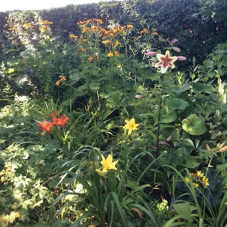 - Stakdelen 47 住宿加早餐酒店 *