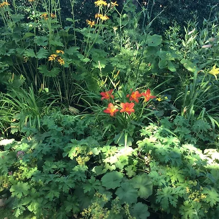 - Stakdelen 47 ベッド・アンド・ブレックファスト *