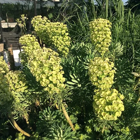 住宿加早餐酒店 - Stakdelen 47 *