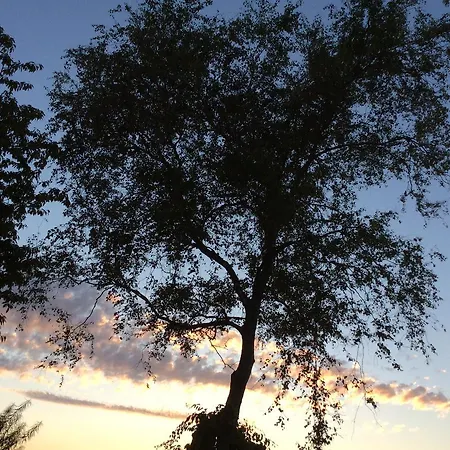 - Stakdelen 47 * Allerup