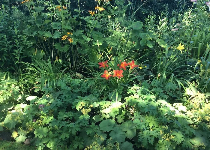 - Stakdelen 47 Panzió *