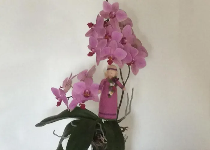 - Stakdelen 47 Panzió